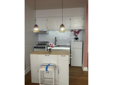 Tastefully upgraded fully furnished Elmwood Park Studio Condo on