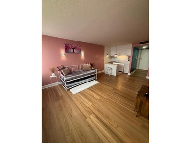 Tastefully upgraded fully furnished Elmwood Park Studio Condo on