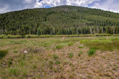 Motivated Seller! One of the best deals in Keystone. Walk into