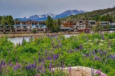 Motivated Seller! One of the best deals in Keystone. Walk into