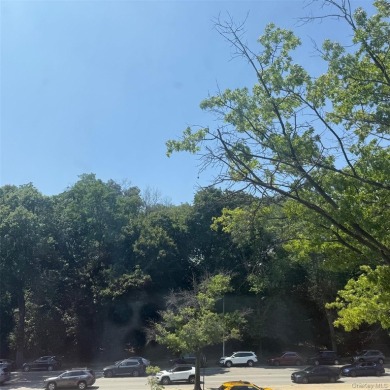 Spacious 2 bedroom co-op apartment with park views. The