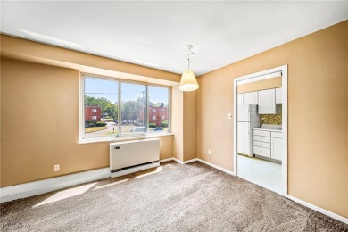 Welcome to your new lakeside sanctuary in the Marine Towers East