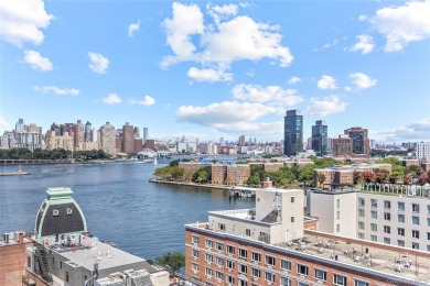 **Breathtaking East River Views from Luxury Astoria High-Rise**

