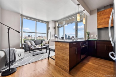 **Breathtaking East River Views from Luxury Astoria High-Rise**

