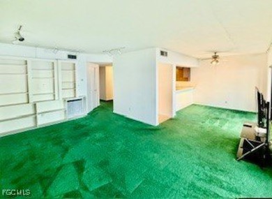 Great Investment Property - Riverfront Condo! Experience