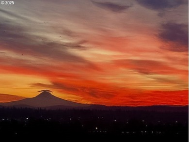 Quiet, clean South Waterfront! Breathtaking city, river and