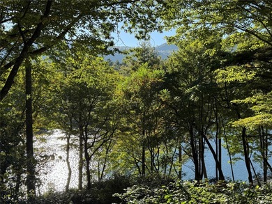 Meticulously crafted 4 BR, 5.5 Ba custom home with level