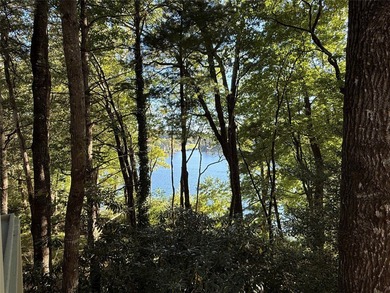 Meticulously crafted 4 BR, 5.5 Ba custom home with level