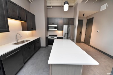 This impressive 2 bed/2 bath unit offers that historic warehouse