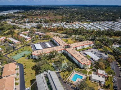 Great location in Delightful Dunedin, on Travel & Leisure's 2025