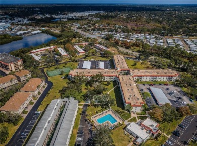 Great location in Delightful Dunedin, on Travel & Leisure's 2025