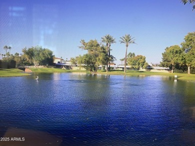 HONEY, STOP THE CAR! Affordable Old Town living with a