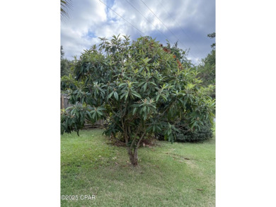 Welcome to this well-maintained home located within the city