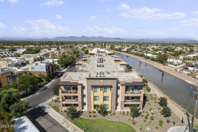 Fall in love in the urban dwelling with residents from