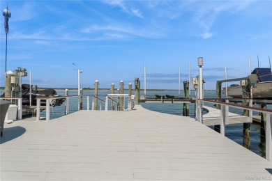 Contemporary Coastal Bayfront Retreat over-looking bird