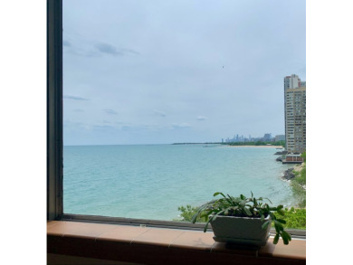 Welcome to Shoreline Towers 6k! This bright & spacious 1-bed 1