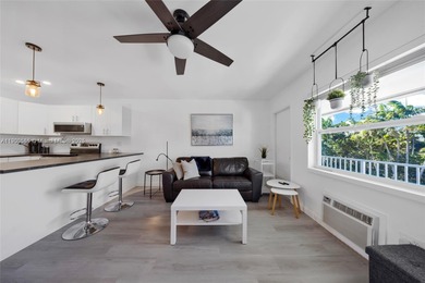 Beautifully Remodeled 1-Bedroom Condo in North Miami 55+