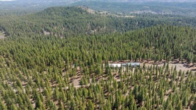 Stunning 36.69-Acre Ranch Bordering Plumas National Forest