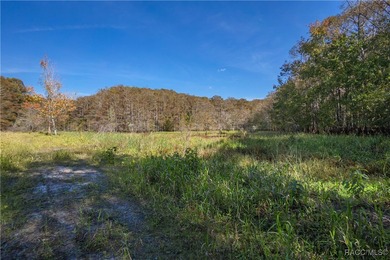 Experience the perfect blend of rustic elegance and modern