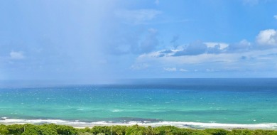 A PERFECT COMBINATION TO SOOTHE YOUR SOUL:  IDYLLIC DESIGNER