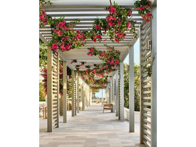 Experience elevated coastal living in Residence 2802 at Five