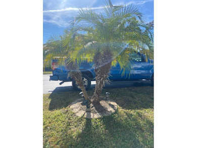 Tropical Florida Oasis! Walk to the Community's Spring-Fed Pool