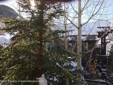 1/12 interest in a luxury condominium right at the base of Aspen