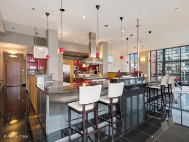 Welcome to the epitome of penthouse living in Chicago's premier