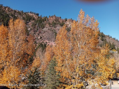 1/12 interest in a luxury condominium right at the base of Aspen