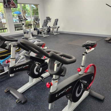 Spasiois, bright, newly renovated 2 BR/2BA apartment in the