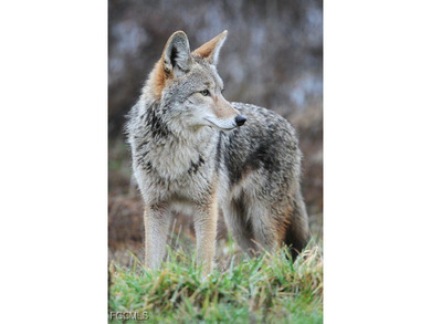 Heritage Cove is the area's premium 55+ gated community; this