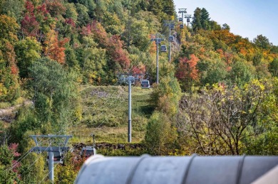 Sommet des neiges - 4/4 of a magnificent, completely renovated