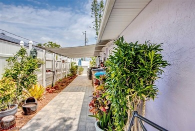 Swimmers Paradise! Relax or entertain in the sun or shade of