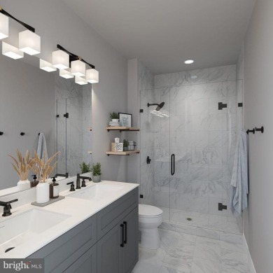 Welcome to Transition at Spring Mill, Conshohocken's newest