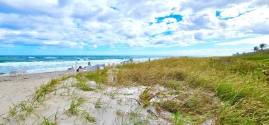 This thoughtfully re-designed and meticulously executed