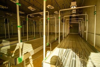 Motivated Seller! Building #1 10,006 SQFT commercial grow