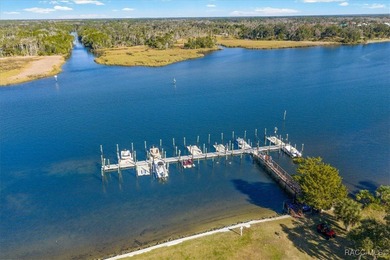 BOAT SLIP & DIRECT GULF ACCESS! Welcome to your dream coastal