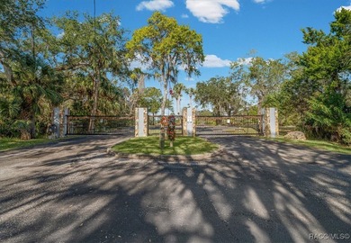 BOAT SLIP & DIRECT GULF ACCESS! Welcome to your dream coastal