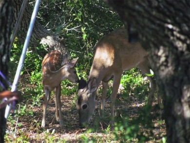 5 ACRES IN TOWN!! Move in ready! 5 acres in a serene and