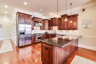 Massive highly upgraded combined penthouse unit in Lincoln Park