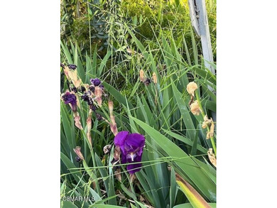 PRICE IMPROVEMENT !!!!! LOCATION LOCATION LOCATION Looking for