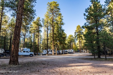 Discover a unique opportunity to own the only privately-owned