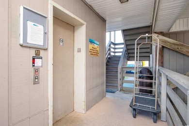 Garden City Guest House condo - A MUST SEE!!  Incredible Garden