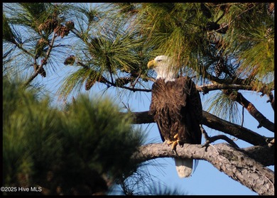 Ready for waterfront living? Spectacular location on Page's