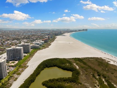 Beautiful 12th floor southern gulf, beach and pool views off the