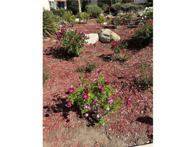 Lovely! Open hse sun. 12/14 1-4 (Welcome- VA & Conventional)!