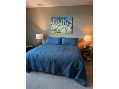 Breathtaking views of Barfield Bay, Marco's skyline and dazzling