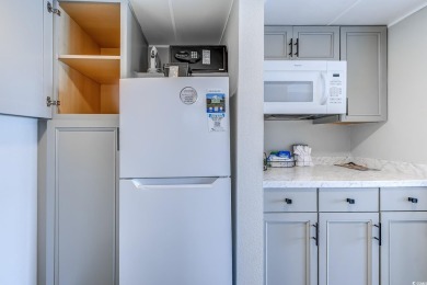 Escape to your beautifully updated oceanfront efficiency, where