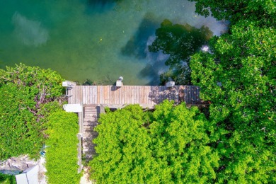 This beautiful home and adjacent lot are located on prestigious