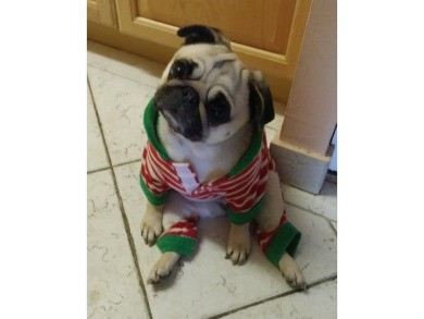 AMAZING PRICE DROP! What a view - 46A located at the prestigious